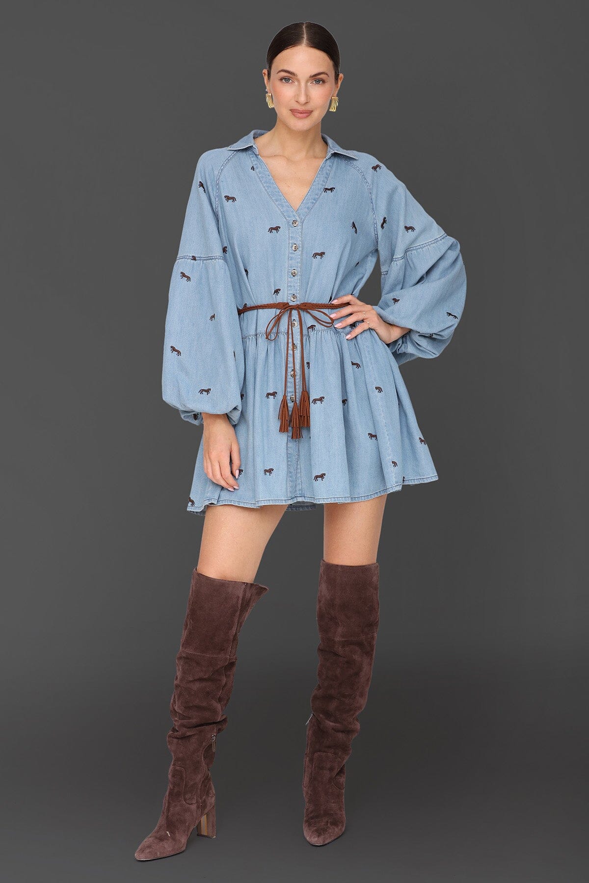 Equine Embroidered Cotton Mini Dress Dresses Avec Les Filles