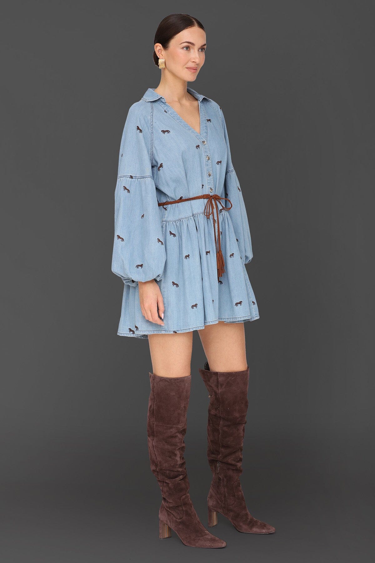 Equine Embroidered Cotton Mini Dress Dresses Avec Les Filles 