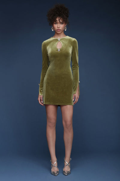 Rose Button Green Velvet Mini Dress