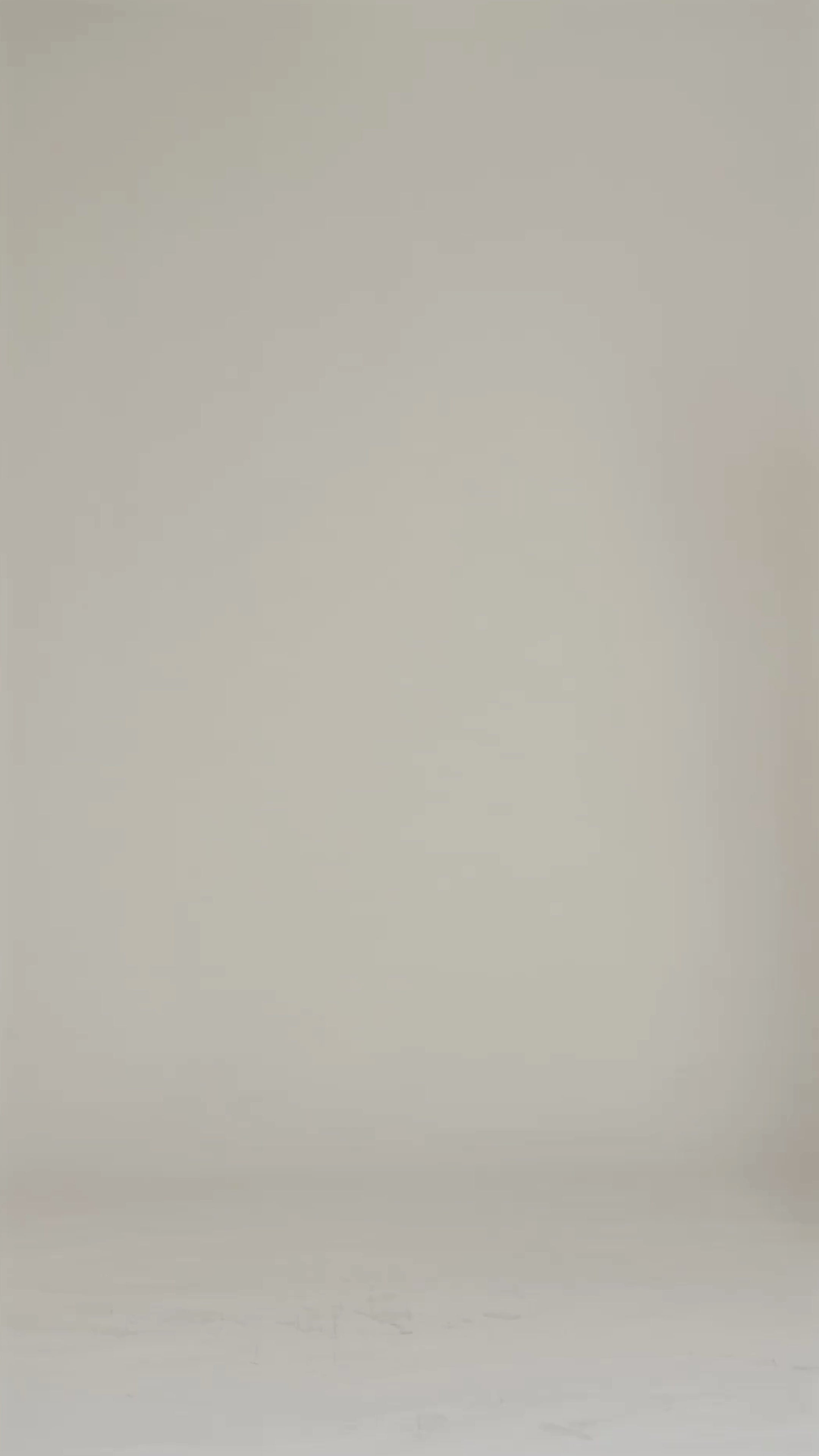 Stripe suiting wide leg pant with high-rise waist and front pleats - Shop women's wide leg dress pants by Avec Les Filles